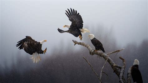 This striking image won our ‘Pictures of the Year’ photo contest