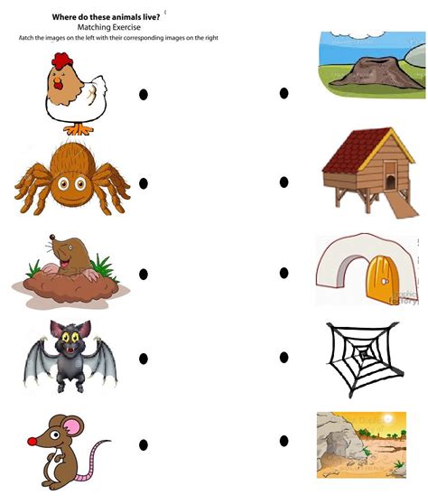 animals homes clipart pdf 10 free Cliparts | Download images on Clipground 2024