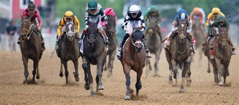 2023 Preakness Stakes: Chase the Chaos Odds, Picks & Predictions ...