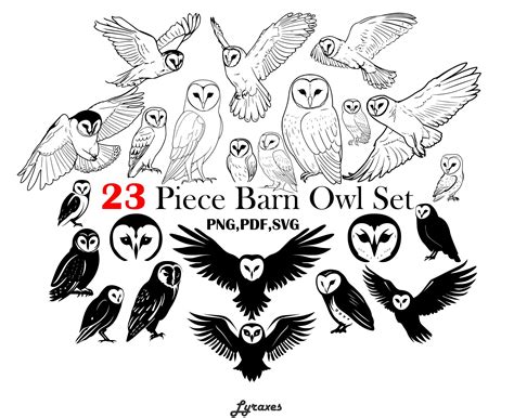 Barn Owl Stencils