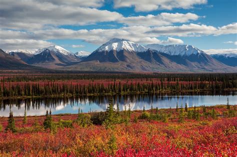 Fall Colors - Alaska | Alaska wallpaper, Alaska photos, Alaska mountains