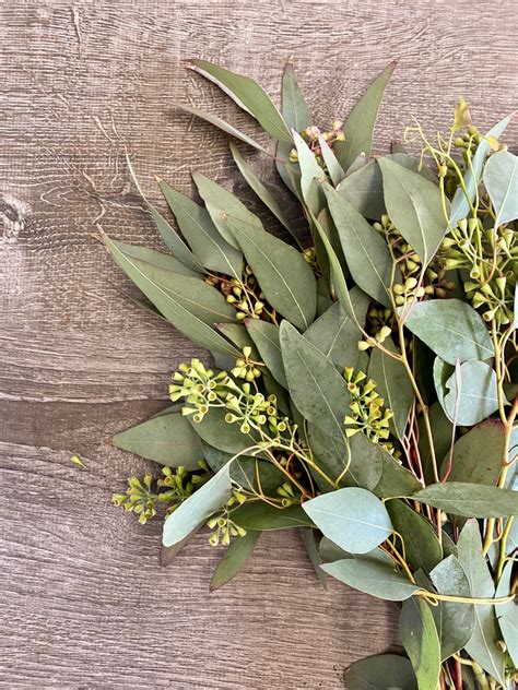 Seeded Eucalyptus Garland – The Garland Guy