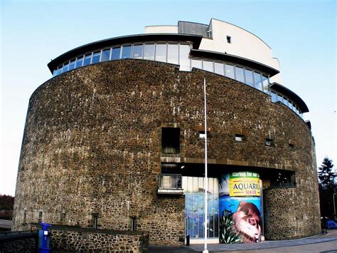 SEA LIFE Centre - Loch Lomond Reviews - Write and view reviews of SEA ...