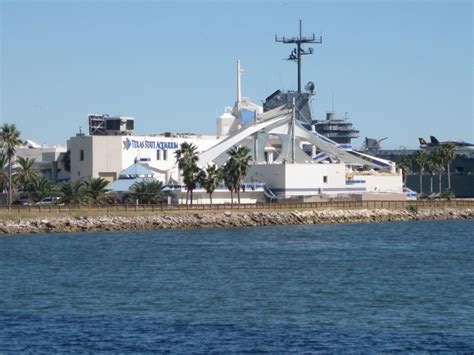 Texas State Aquarium, Corpus Christi, Texas