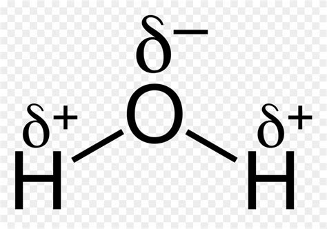 H2o Chemical Bond - Structure Of Water With Partial Charges Clipart (#1608782) - PinClipart