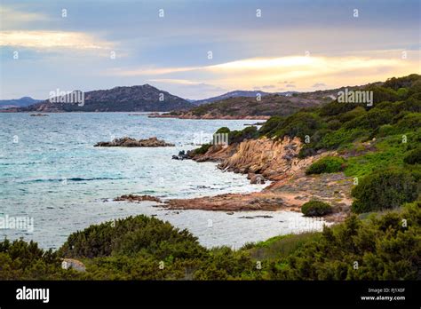 Caprera island, Stagnali, La Maddalena national park, Sardinia, Italy Stock Photo - Alamy