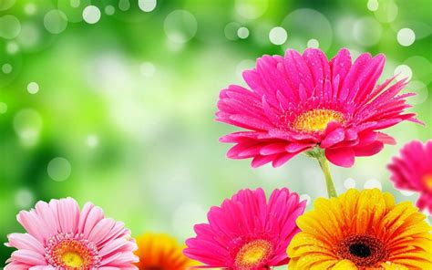 10 Incomparable small flower desktop wallpaper You Can Get It For Free ...