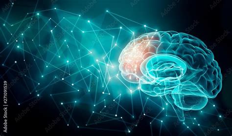 Quantum Field Theory Boosts Brain Model