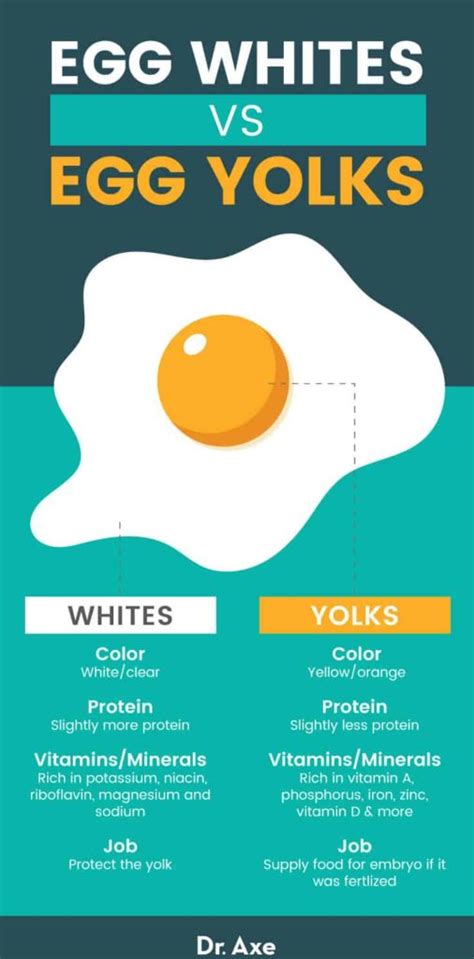 Egg White Nutrition, Benefits, Recipes, Use and Side Effects - Dr. Axe