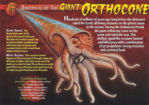 Giant Orthocone - Wierd N'wild Creatures Wiki