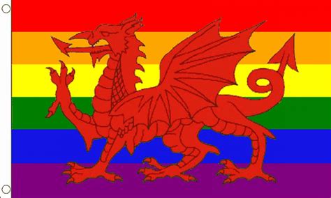 Rainbow Welsh Dragon Flag | Pride Flags | South Coast Flagpoles