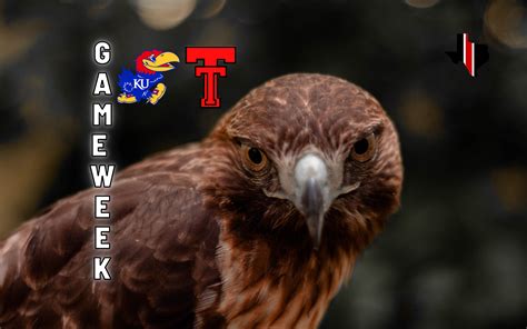 Game Week: Kansas vs. Texas Tech – Staking The Plains