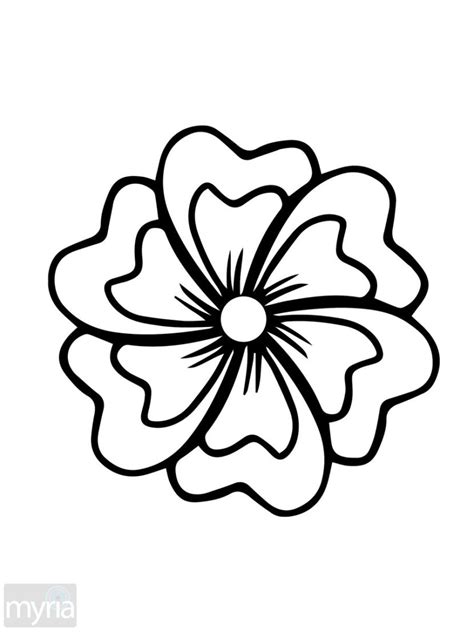 5 Petal Flower Drawing at GetDrawings | Free download