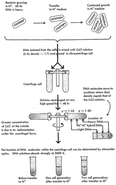 Experiment in Physics (Stanford Encyclopedia of Philosophy)