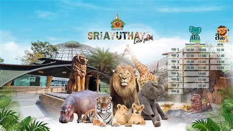 Sriayuthaya Lion Park - ศรีอยุธยา ไลอ้อน ปาร์ค