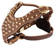 Handmade Brown Leather Spiked Dog 【Harness-Custom】 Made Harness : Harnesses for All Breeds: Dog ...