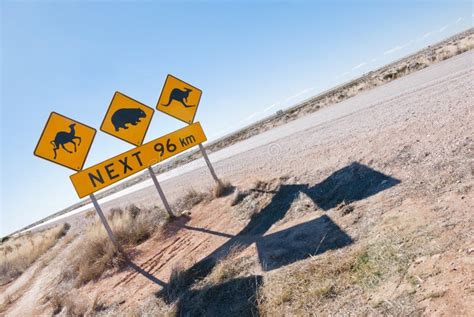 Australian Wildlife Crossing Sign Stock Photo - Image of road, holiday: 28955500