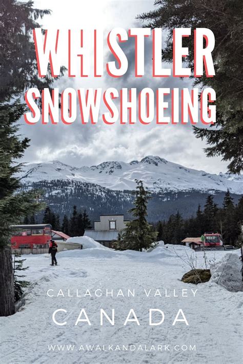 Whistler Snowshoeing - Callaghan Valley, Canada in 2021 | Travel activities, Best hikes, Travel ...