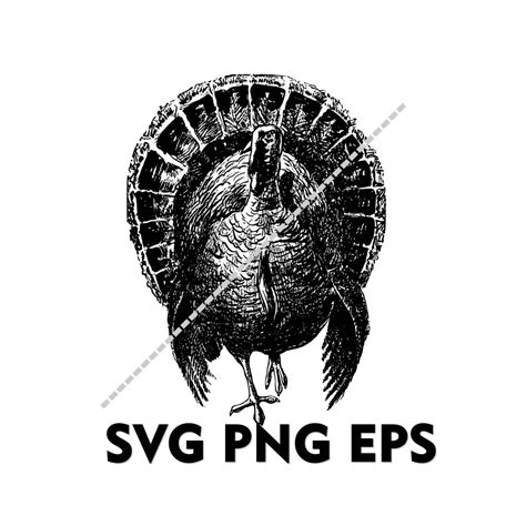 Turkey SVG PNG EPS Clipart - Etsy