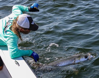 Florida Tarpon Fishing Report January 3rd, 2019 - Florida Tarpon Fishing Charters