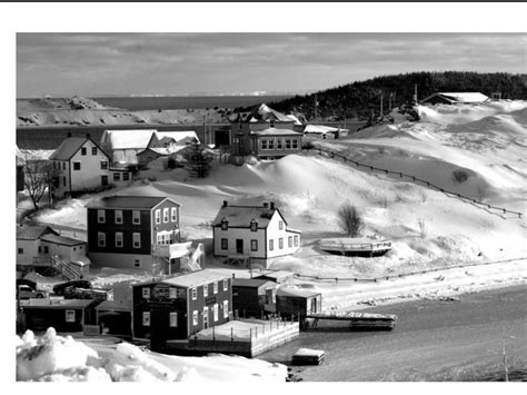 Trinity Bay, NL: A Captivating View