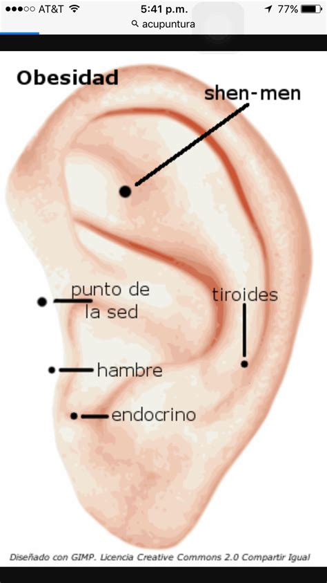 Pin de Jorge Aguilera en Acumpuntura | Auriculoterapia para adelgazar, Acupuntura para adelgazar ...