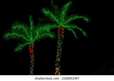 Palm Trees Decorated Christmas Lights Stock Photo 2230051497 | Shutterstock