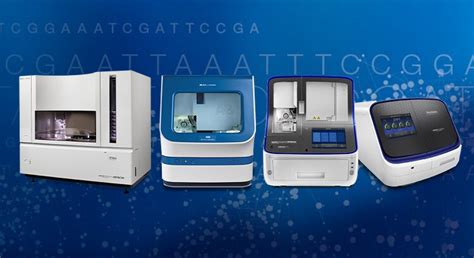 Sanger Sequencing and Fragment Analysis by CE | Thermo Fisher ...