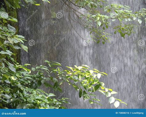 Waterfall stock photo. Image of scenic, natural, outdoors - 73808216