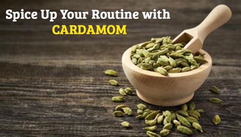 What are the Cardamom Benefits & Health Advantages?