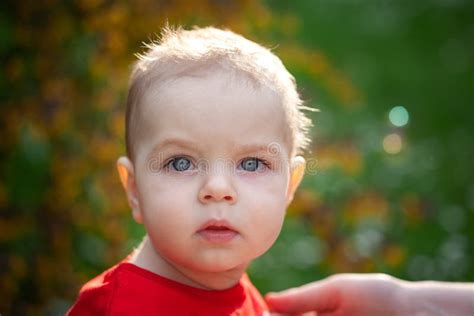 Closeup Portrait of Baby Boy with Big Eyes. Serious Little Boy with Intent Look Stock Image ...