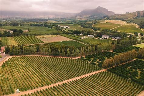 Cape Town: The Wondrous Winelands at the Edge of the World