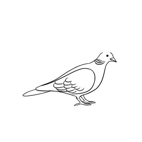 Pigeon singing animation by constancelea on DeviantArt