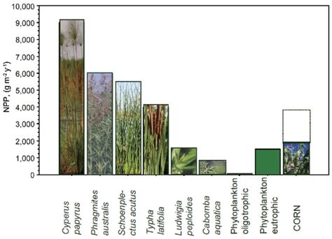 OAK 국가리포지터리 - OA 학술지 - Journal of Ecology and Environment - The role of ...