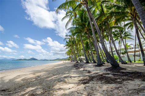 Palm Cove beach images