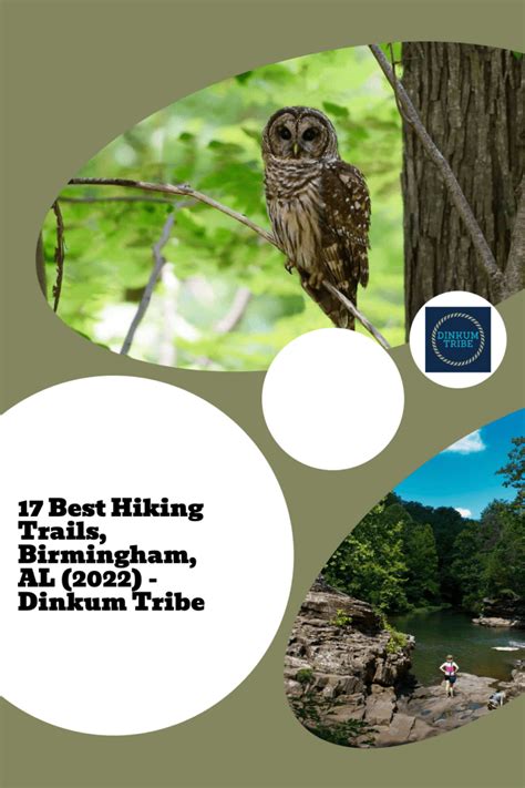 17 Best Hiking Trails Birmingham AL (2023) - Dinkum Tribe