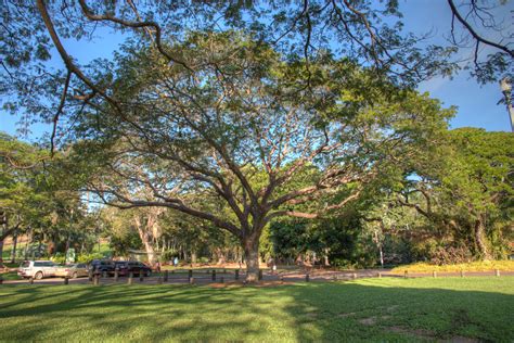 George Brown Darwin Botanic Gardens | Campervan Finder