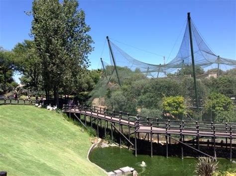 Monte casino bird park (Johannesburg) - 2018 All You Need to Know Before You Go (with Photos ...