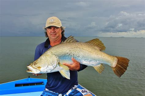 What Is Barramundi Fish Like - Unique Fish Photo