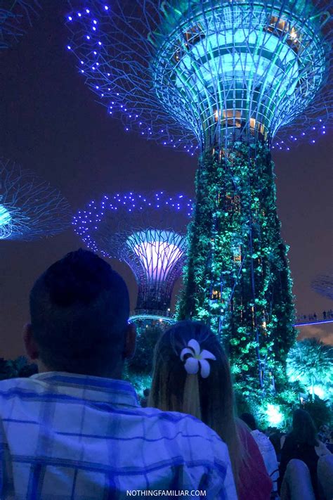 How to See the Gardens by the Bay Light Show (Read This First!)