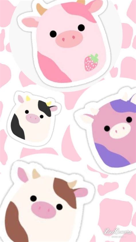 Cow squishmallow wallpaper | Cute wallpapers, Wallpaper iphone cute, Cute backgrounds