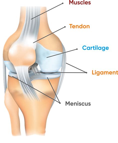 Knee Pain Symptoms | Reasons of Knee Pain