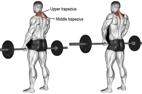 shoulder shrug workout > OFF-73%