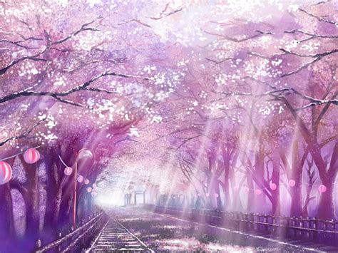 Sad Song - Your Lie in April, Your Lie in April Cherry Blossoms HD wallpaper | Pxfuel