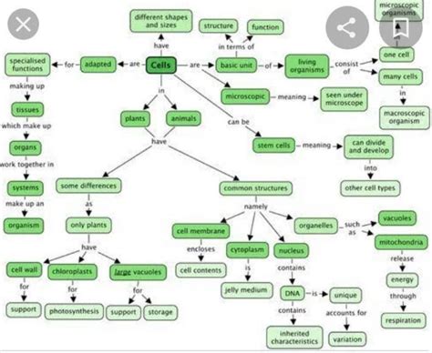 draw a mind map to show cell components cell organelles it's ...