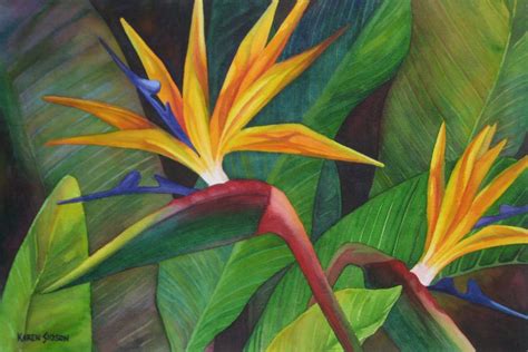 Karen Sioson Watercolors: May 2011 Paradise Plant, Birds Of Paradise, Watercolor Plants, Floral ...