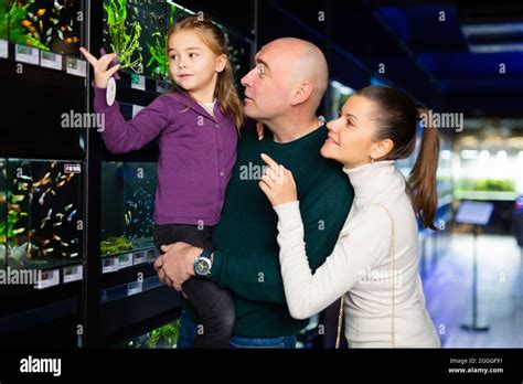 Happy family choosing aquarium fish Stock Photo - Alamy