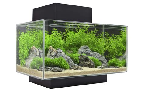 Best Nano Aquariums: 5 Nano Tanks Reviews 2019