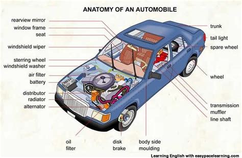 Interior Car Parts Names Inside - Cars Interior