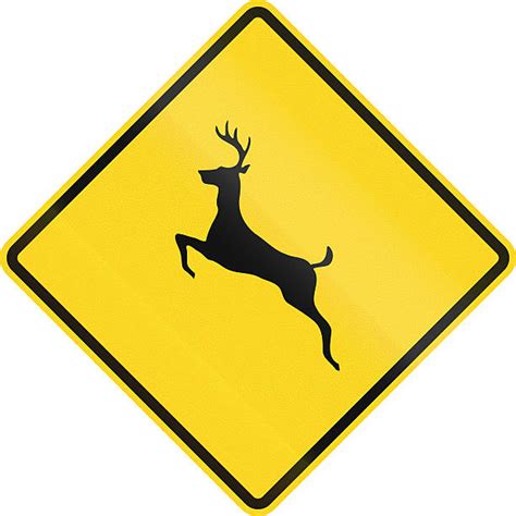 280+ Deer Crossing Road Sign Stock Photos, Pictures & Royalty-Free Images - iStock